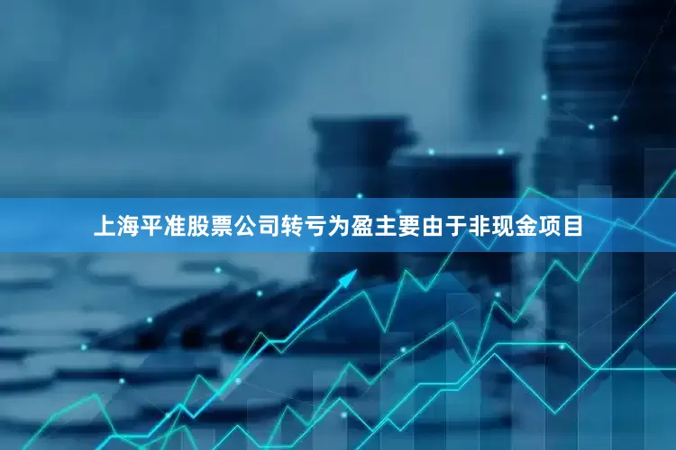 上海平准股票公司转亏为盈主要由于非现金项目