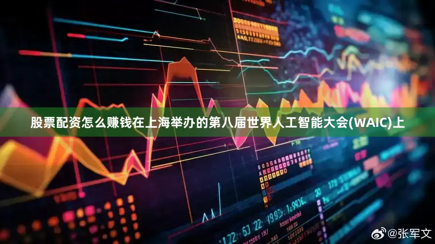 股票配资怎么赚钱在上海举办的第八届世界人工智能大会(WAIC)上