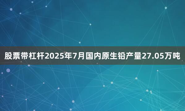 股票带杠杆2025年7月国内原生铅产量27.05万吨