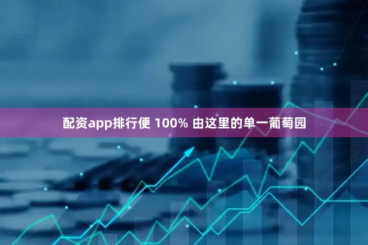 配资app排行便 100% 由这里的单一葡萄园
