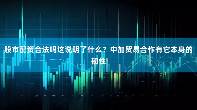 股市配资合法吗这说明了什么？中加贸易合作有它本身的韧性