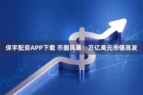 保宇配资APP下载 币圈风暴：万亿美元市值蒸发