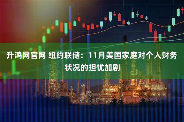 升鸿网官网 纽约联储：11月美国家庭对个人财务状况的担忧加剧