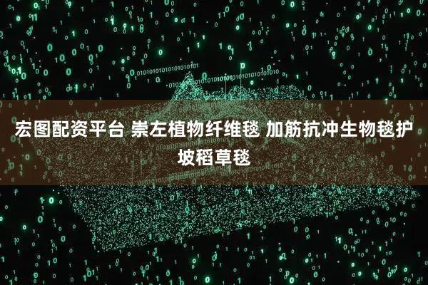 宏图配资平台 崇左植物纤维毯 加筋抗冲生物毯护坡稻草毯